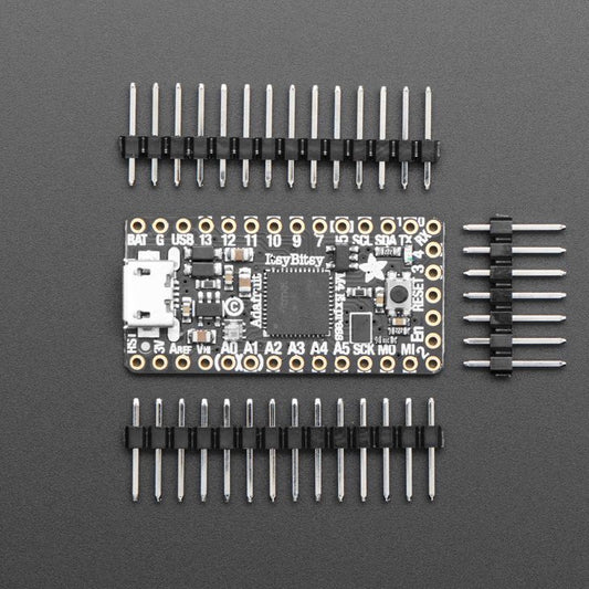 Adafruit ItsyBitsy M4 Express featuring ATSAMD51