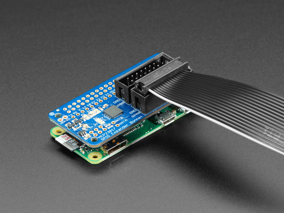 Adafruit GPIO Ribbon Cable 2x8 IDC Cable, 16 pins 12" long, 4170