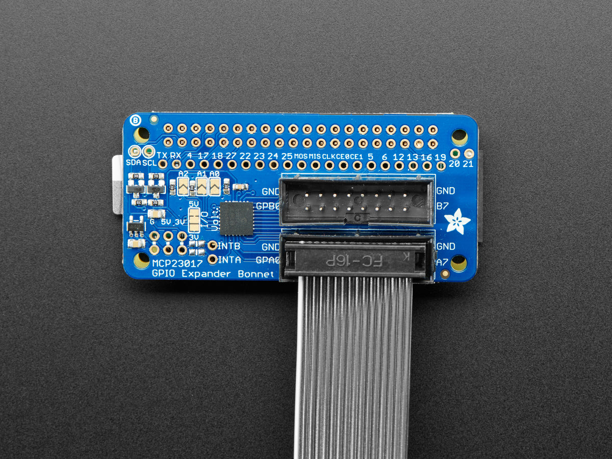 Adafruit GPIO Ribbon Cable 2x8 IDC Cable, 16 pins 12" long, 4170