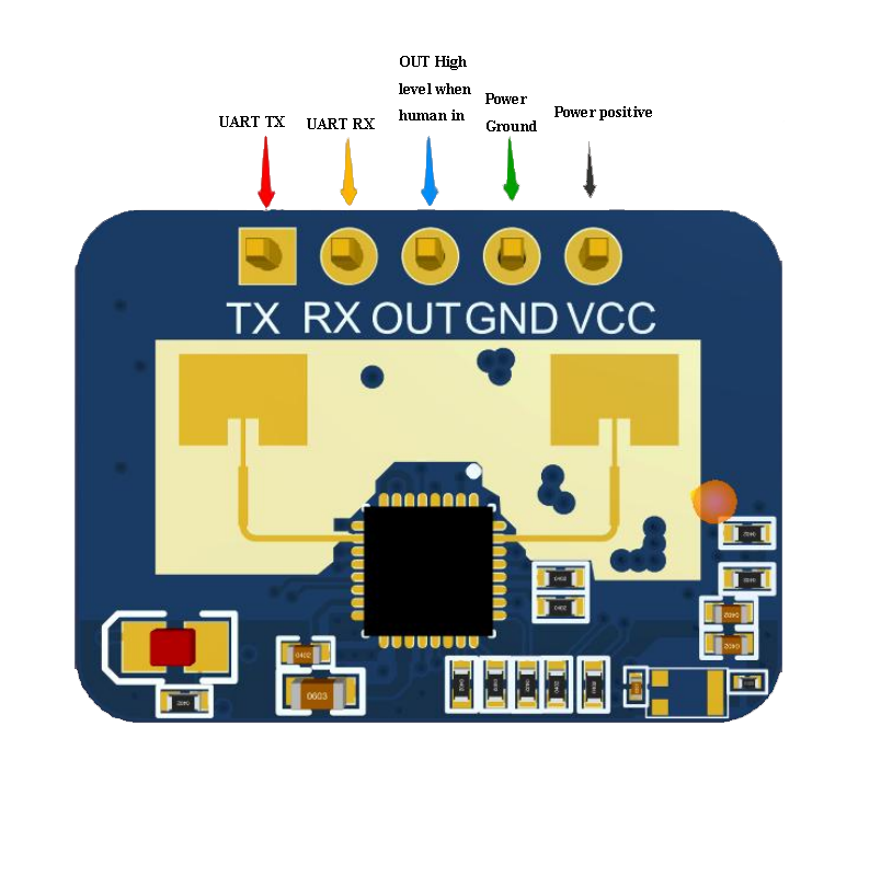 LD2410C 24GHz Human Presence Sensor | mmWave Radar | Erkennt Bewegung & Anwesenheit bis 5m Reichweite | UART, GPIO, BLE